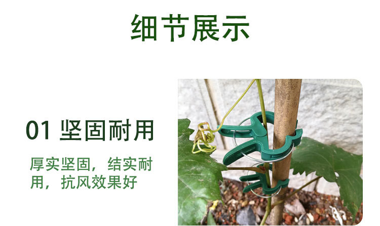 园林小夹子详情_05.jpg