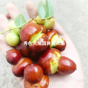 �������޽Ӷ������J���ش��������ͥԺ�����ϱ����Nֲ������