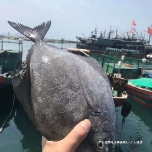 �����Ұ�����K�~���r���~�^���~���K�~���~��S���]���l�y�~