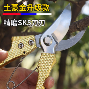 Special offer stainless steel fruit picking thin fruit scissors black medlar flower grape picking scissors extended gardening pruning scissors