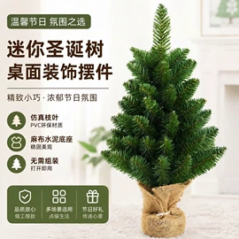 圣诞树;圣诞花环;圣诞装饰品