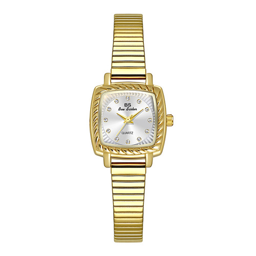 BS new hot-selling watch manufacturer direct sales light luxury INS cold wind small square watch women's stainless steel watch bamboo strap