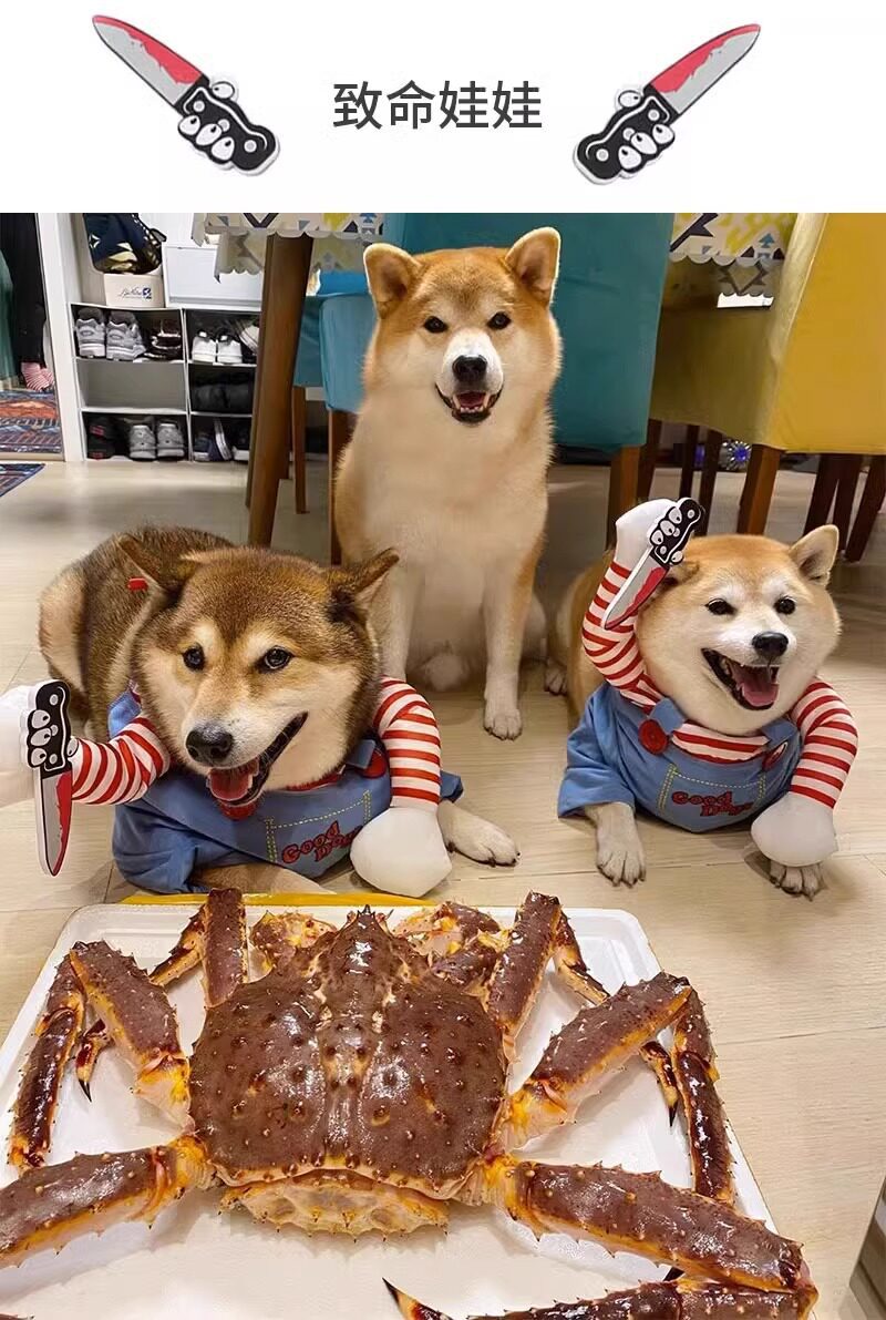 详情图