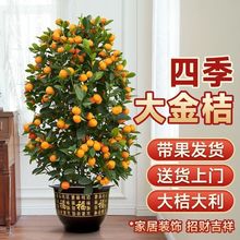 ��ۘ����Ԏ����͏d�҃ȴ���ֲ��С�����辰���B��۾Gֲ���ܰ��]