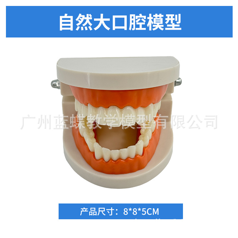 ���ƿ�ǻ�ı�ȣ�ݷֽ�ģ�� ����������ʾȣ�ݷ�չ���� ҽ����ͨ