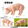 HZJM300 piglets