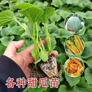 �G��ʯ�����������������������������ļ����̨�����߹�����