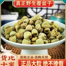 ҰƷșĸݲɹӸPӹ؛250g