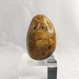 Baimeiji Billion Years Pure Natural Ceiling Root Amber Genper Natural Amber Decoration High-End Gifts