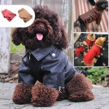 ����Դ�^���S���·��ﶬ�bƤ������ С��Ƥ��Ƥ�A��