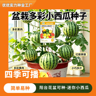 ���Զ��С���ϷN�Ӻ��λ��b���ϷN�Ӵ������Զ�����ϷN��
