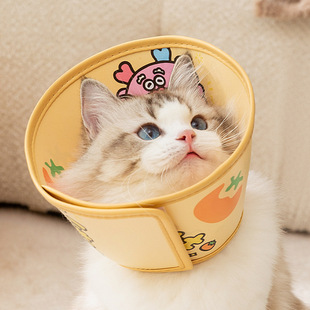 Cat Great Luck and Lucky Language Pet Elizabeth Circle Dog Anti-bite Headgear Waterproof Collar Pet Supplies