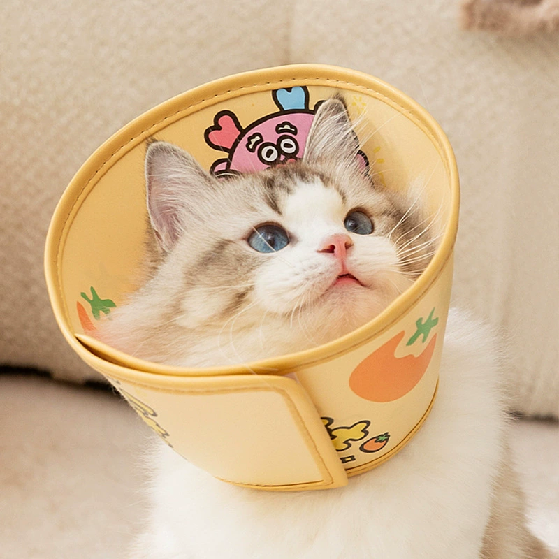 Кошка удача Благоприятный питомец Elizabeth Circle Собака против укуса