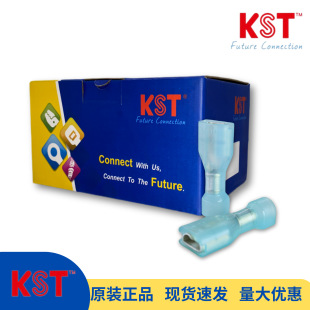 Kst Jianhexing Insulated Male and Female Terminal Ul Certification Fdfn1-250 Fdfn2-250 Fdfn5-250