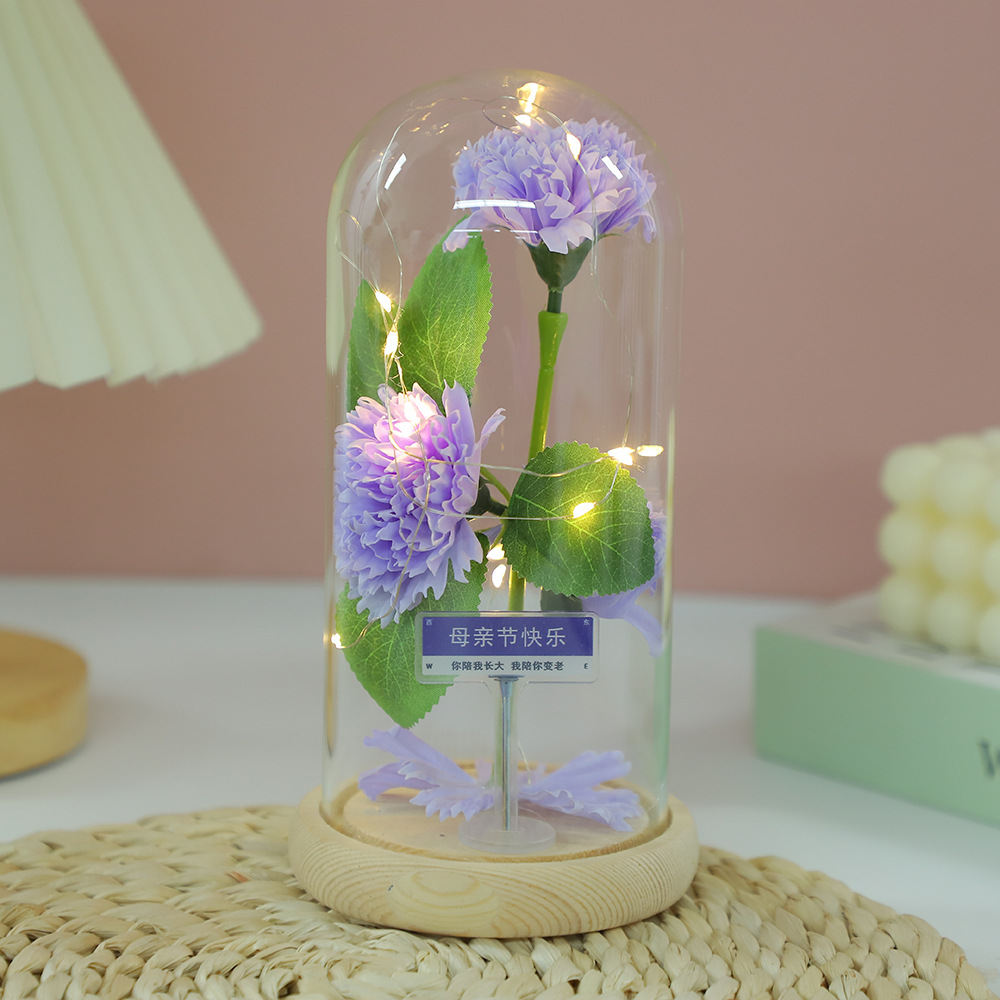 Fábrica al por mayor Flor eterna Cubierta de vidrio Clavel Caja de regalo Flor simulada Decoración de escritorio Día de la madre Regalo para mamá