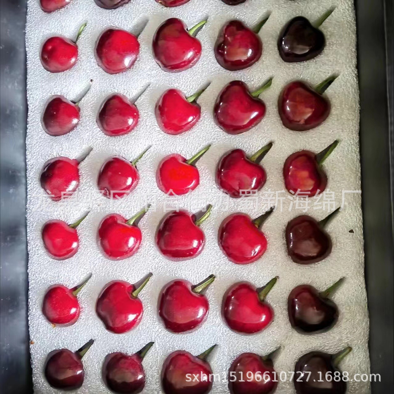 厂家供应白色海绵车厘子包装海绵/车厘子樱桃铝膜泡沫盒子包装