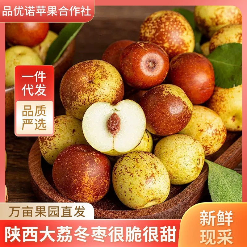 Компания Dali Winter Jujubes оптом поставляет крупные консервированные финики, свежие сезонные фрукты, сладкие и хрустящие свежие финики, зеленые финики.