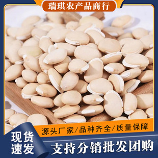 �ױⶹ���r���ԷN�����ϷNС�ⶹ�׶�����ȼZ�ּZʳ���Ҝ�500g