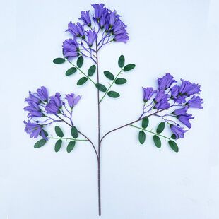 �{��麼ٻ��b廨ܛ�b�ٻ����������bٻ�֦��֧���ϻ�