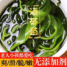 海带嫩苗东海苗新鲜泡发嫩芽盐渍小海带非干货火锅食材凉拌独立站