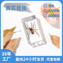 �񷽹�ˇƷ�S�S���ԠI���x�Ә˱���ƴ����΁�D����̈����^�[��