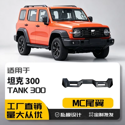 Tank 300Mc Sports Rear Fixed wind wing
