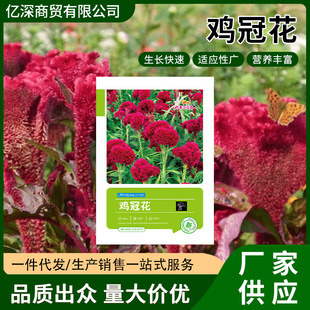 �t�u�ڻ��N�ӑ��⻨���쾰����ͥԺ�̨�����ļ����N�^�p���ܷN��