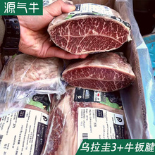 ������379ţ����3+ĵϠ�����l��偿���ѩ��ţ������ԭ��ţ������