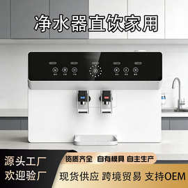 批发净水器RO反渗透语音加热一体机厨房过滤纯水机净水器直饮家用