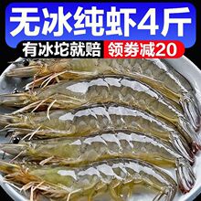 ���u���r�r�����r�}�����rˮ�aһ�䌦�r�����r���r����