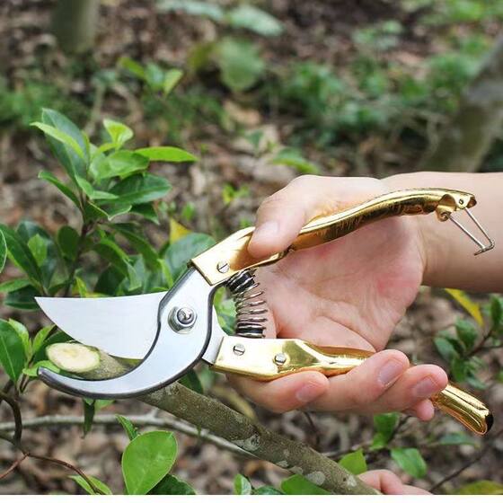 Garden tools industrial grade pruning scissors gardening scissors fruit tree floral scissors fruit tree labor-saving scissors