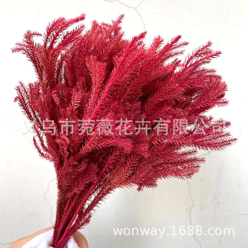 微信图片_20210118233357