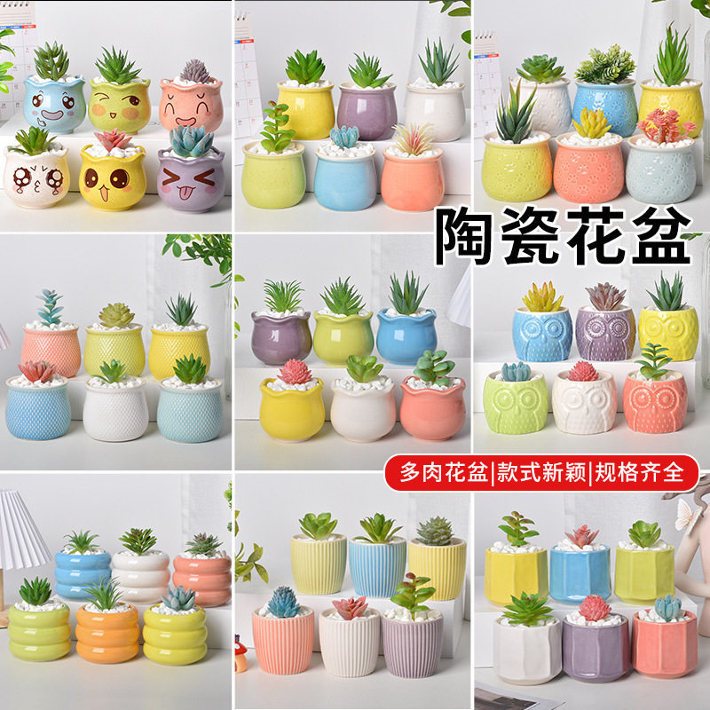 High quality clay pot fleshy flower pot Dehua ceramic Morandi Macaron mini thumb green plant potted suit wholesale