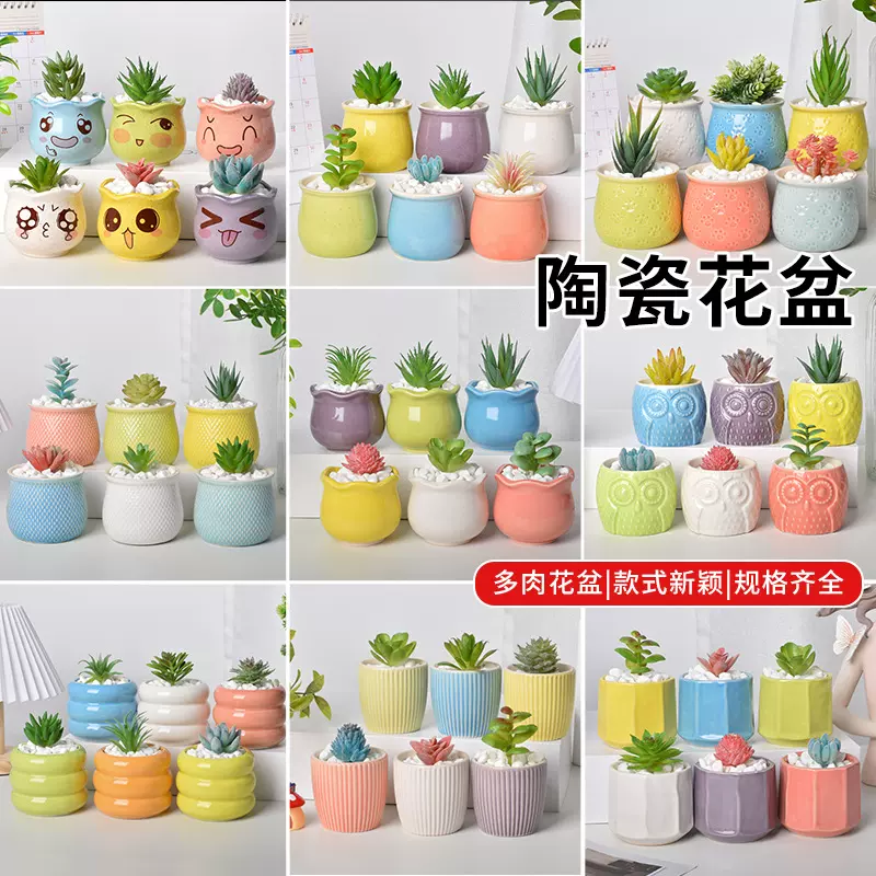 优质陶罐多肉花盆德化陶瓷莫兰迪马卡龙迷你拇指绿植盆栽套装批发