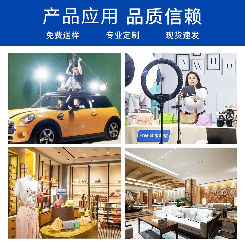 Light source, built-in lamp, high power, custom-made, 100W, 300W, 200W
