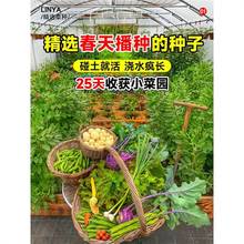 ߲˷NݷNѲ˿˷[NmϴNĲ