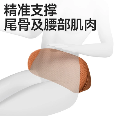 Small Lumbar Pillow Tailbone Car | Waist support