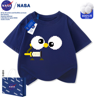 NASA��ͯ���޶���T����ͯt��2026�¿��д�ͯŮͯ�ļ��A�I��������