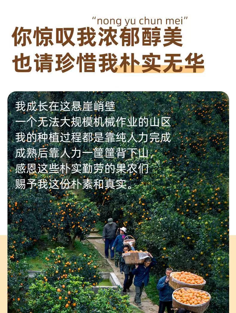 微信图片_20240320165338