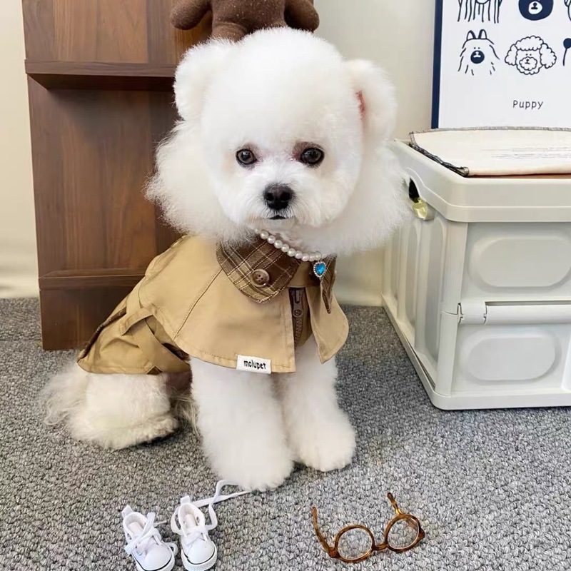 狗狗生日正装衣服英伦风衣小型犬帅气绅士服装小猫咪博美泰迪比熊|undefined