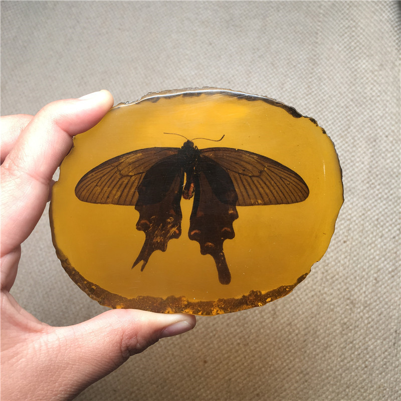 인공적으로 최적화 된 앰버 장식품 곤충 피어 GECKO SCORPION DRAGONFLY CICANUS 나비 슬라이스 손 손잡이