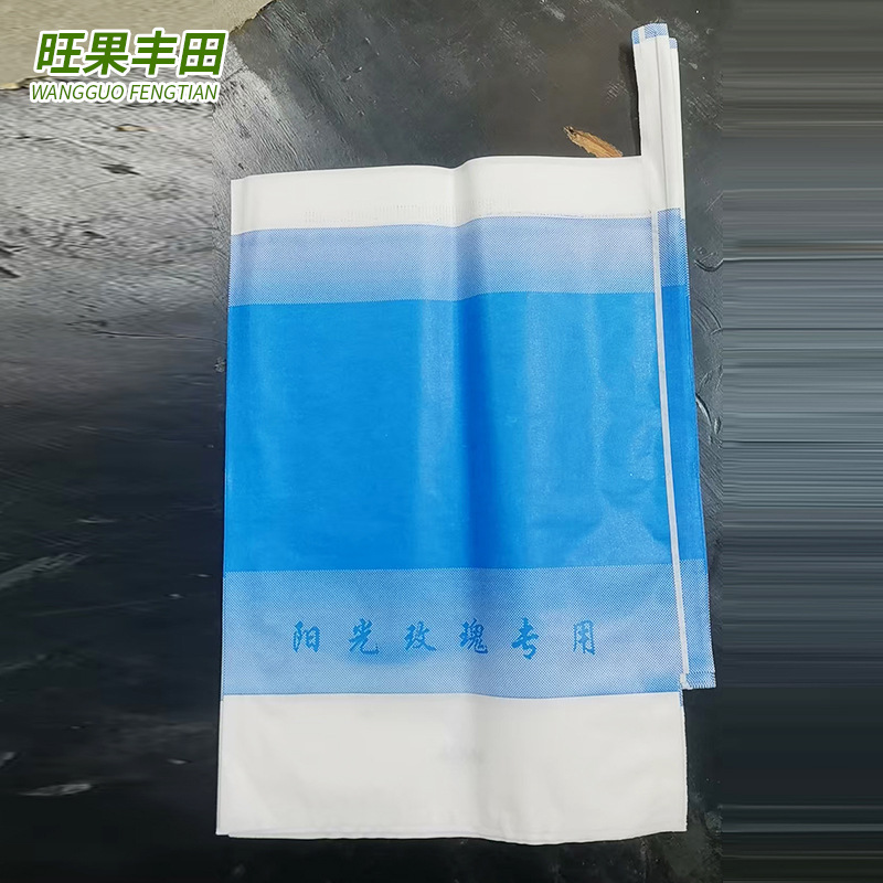 12b764cfbeb697a42ebbd06a883ec1