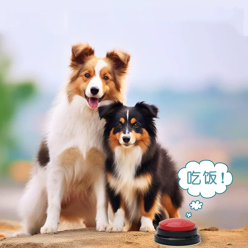 Pet communication recording dog button training clicker stress venter game response squeeze recording box