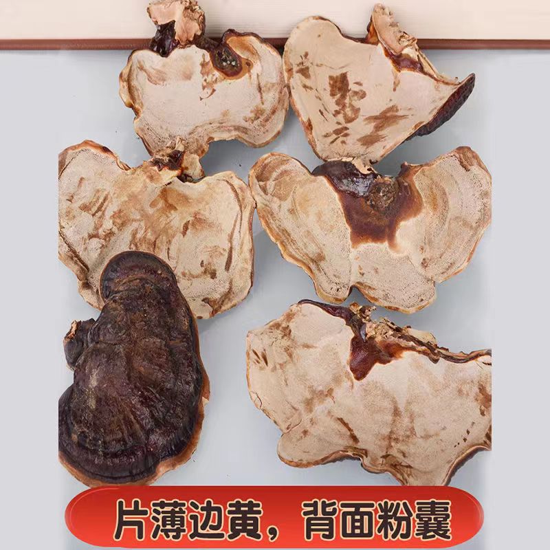 Changbai Mountain Reishi Young Buds Ling Zhi 500g Dried Slices for Soup and Hot Pot key features