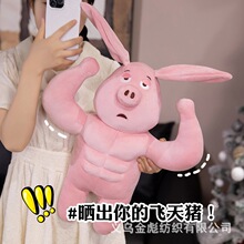 �w���i��ּ����i�i����ë�q�����˯�X�����ѱ�����ż�|������Ů