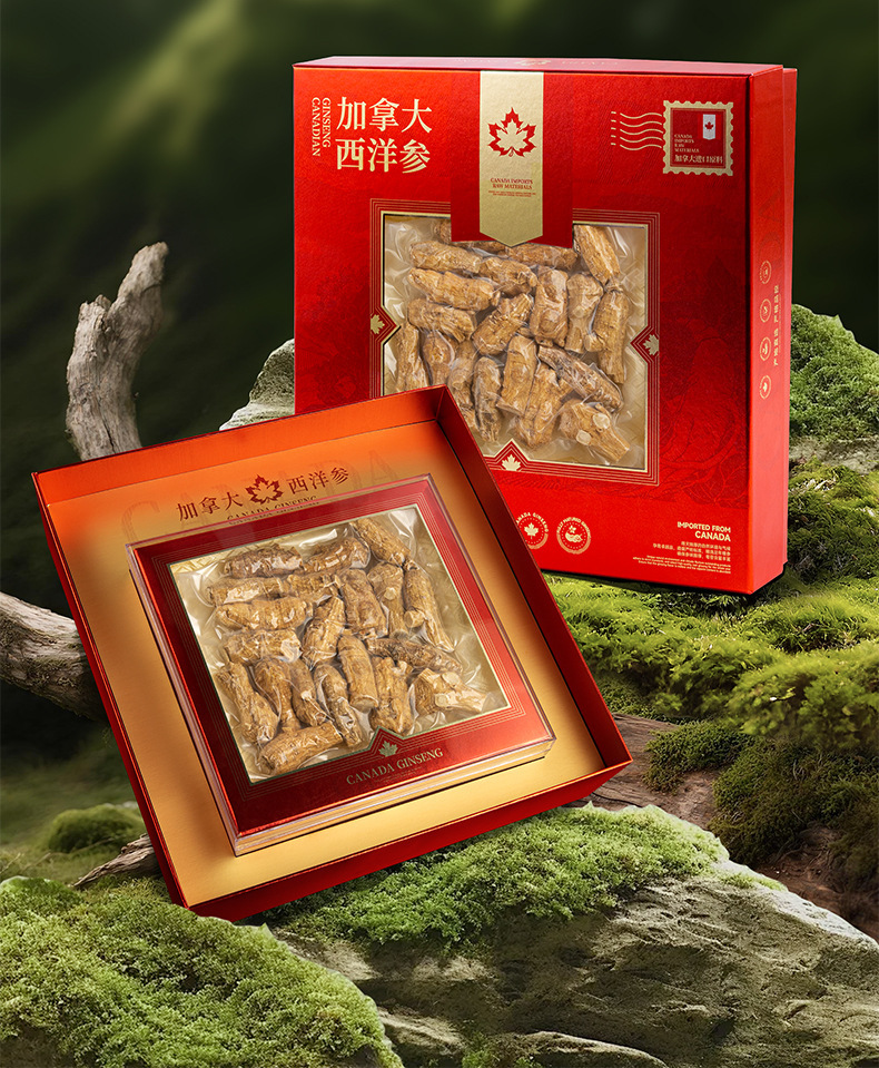 Canadian American Ginseng Gift Box Xi Yang Shen 150g Premium Whole Root Slices for Tea and Soup in use