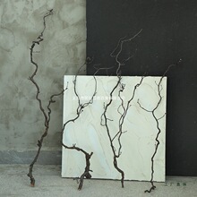 ������֦��֦����b���Ȼ������צ�廨��֦����ˇ�g�L�ɶU��ɻ�