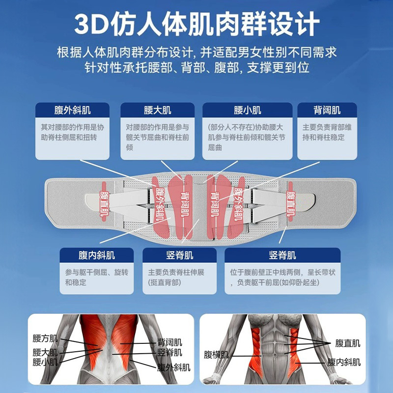 运动护腰带钢板支撑四季透气护腰跨境固定自发热腰部托男女护腰带|undefined