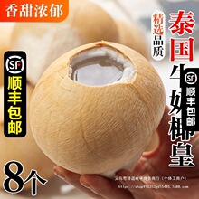 泰国牛奶椰皇8个装新鲜椰青椰白孕妇水果老椰子整箱椰香浓郁