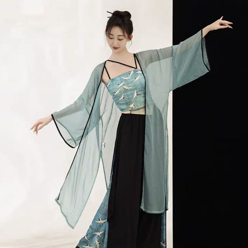 新しいスタイルの古典的なダンスの青蛇中国式のふわふわしたガーゼの服のプリントのズボンのスカートの中国風の現代的なダンスの演出の練習服|undefined